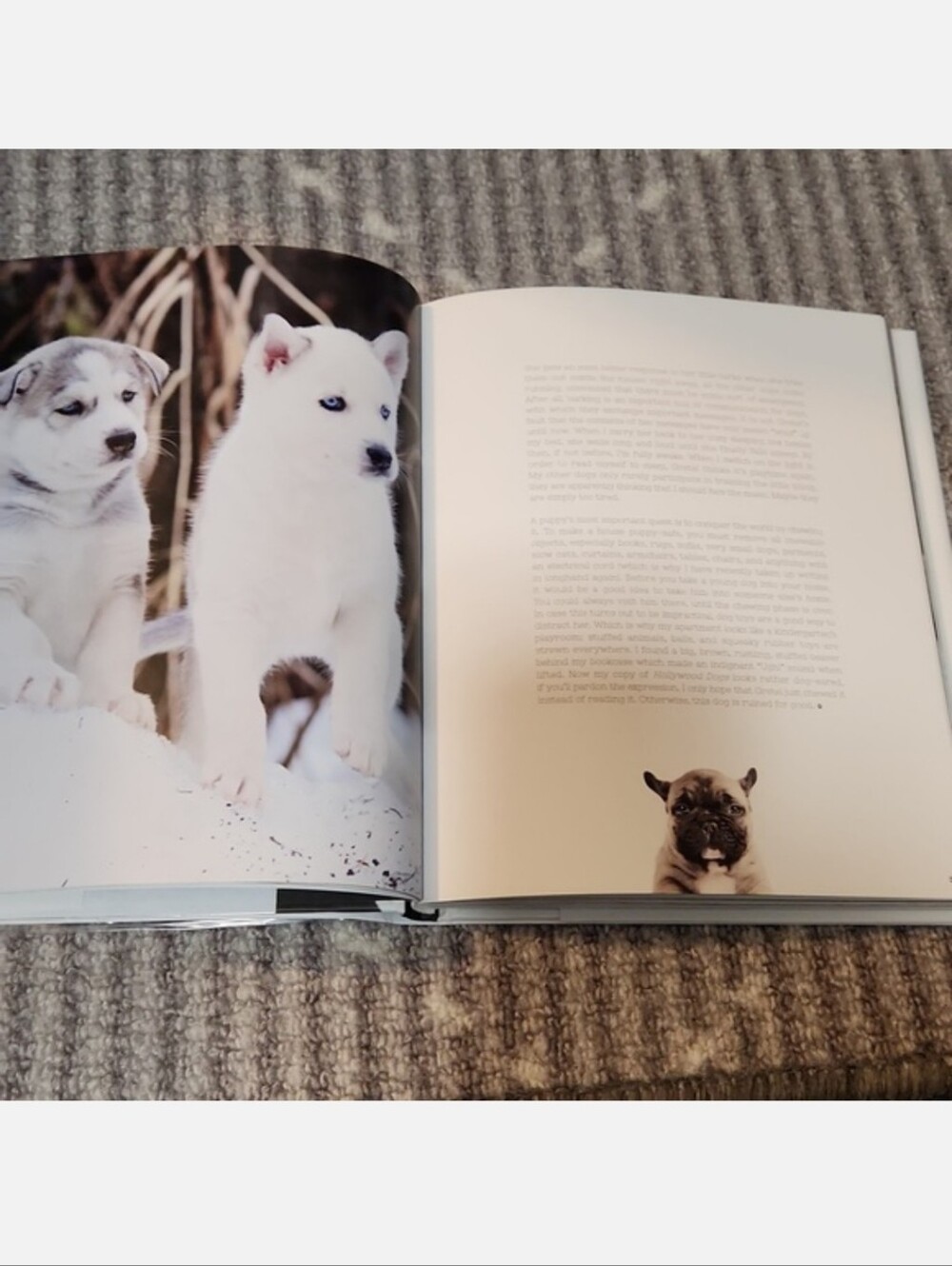 For The Love Of Dogs Book by Katharina von der Leyen - Picture 10 of 17
